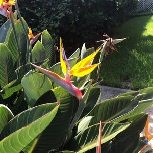 Meet your Posher, Mara